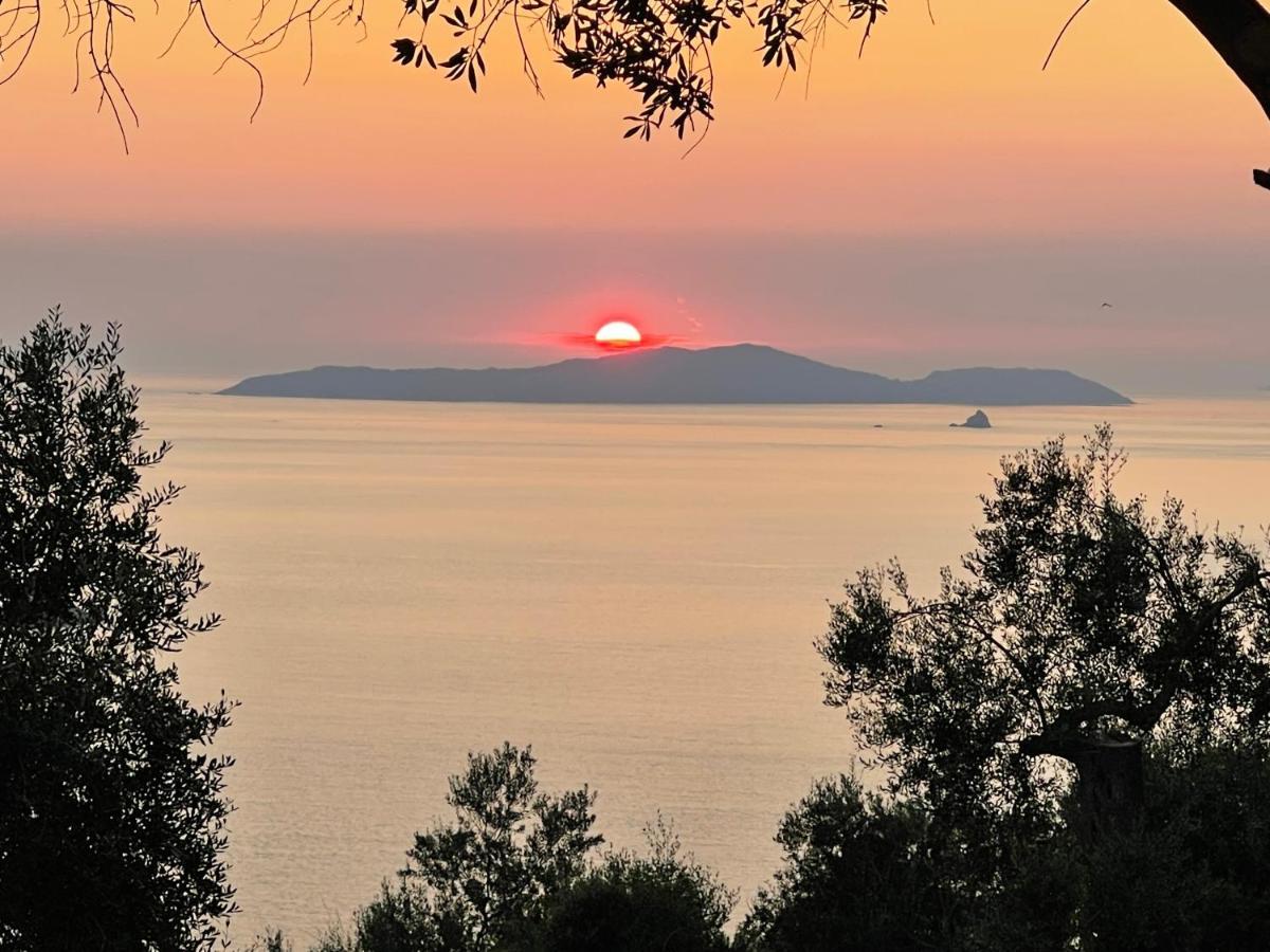 Arillas Hillside Villa 3 - Provence Exteriör bild